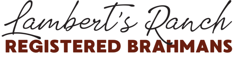 Lamberts Ranch 768x196