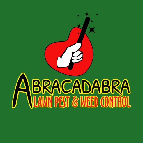 313262110 636511704617904 4755737993023032780 n